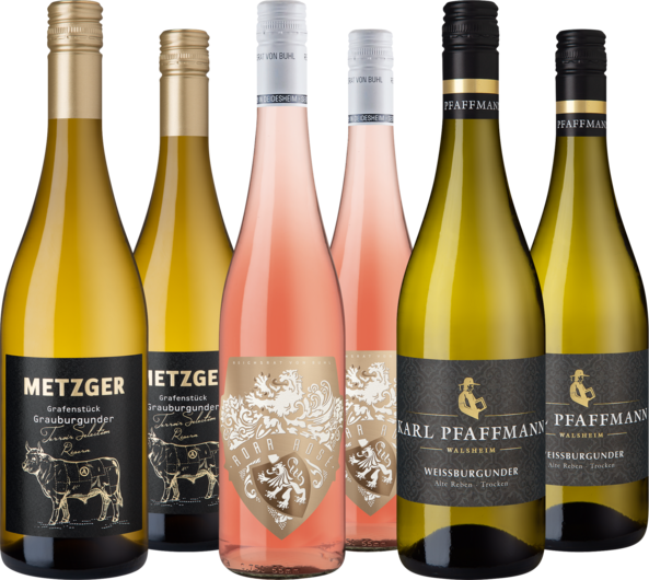 Entdeckerpaket "Weine aus der Pfalz"