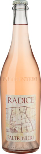 2024 Radice Lambrusco