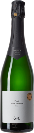 2023 Winzerhof Ebringen Pinot Blanc de Noirs Sekt