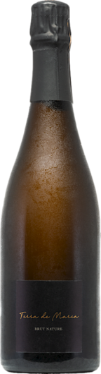 2019 Terra de Marca Cava