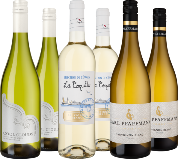 Entdeckerpaket "Sauvignon Blanc aus aller Welt"
