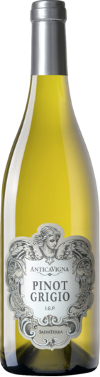2024 Antica Vigna Pinot Grigio
