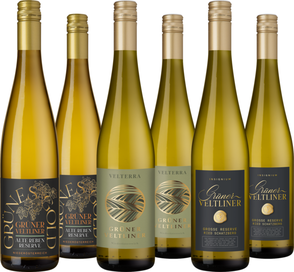 Probierpaket "Grüner Veltliner Vielfalt"