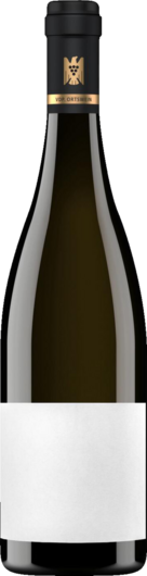 2024 Sine Trollinger