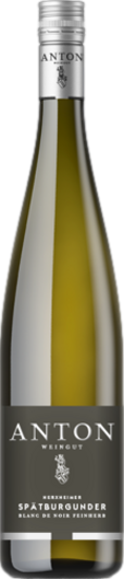 2023 Matthias Anton Spätburgunder Blanc de Noir