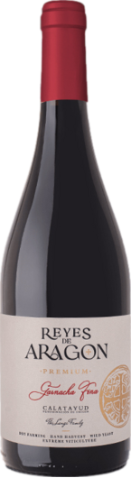 2021 Bodegas Langa Reyes d'Aragon Premium