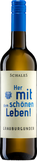 2024 Schales Her mit dem schönen Leben! Grauburgunder