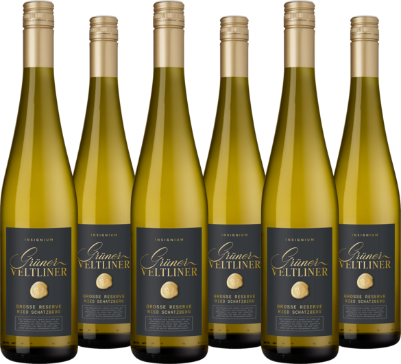 2024 Vorteilspaket Insignium Grüner Veltliner