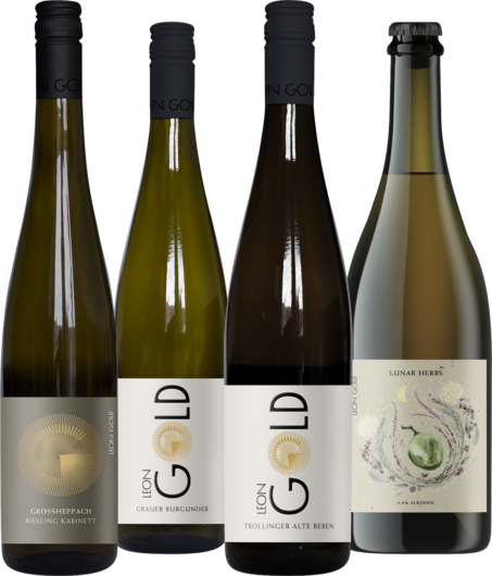 Podcast-Paket "mit Leon Gold"