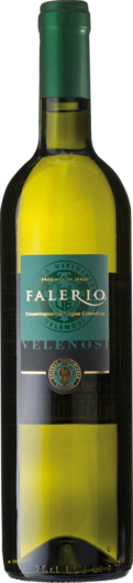 2024 Falerio Bianco