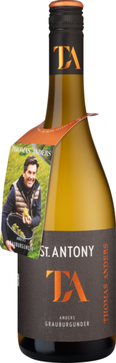 2024 Thomas Anders Grauburgunder
