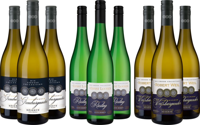 2025 Probierpaket "Große Collection"