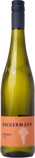 2024 Dackermann Bacchus