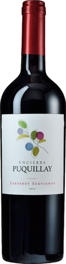 2019 Cabernet Sauvignon Puquillay