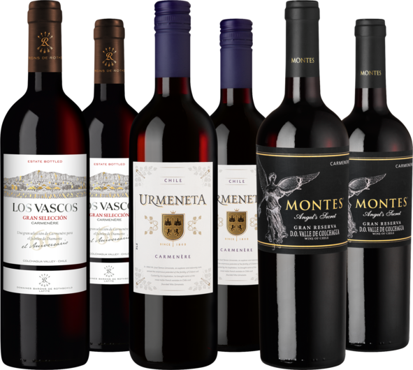 Probierpaket "Carmenére-Vielfalt aus Chile"