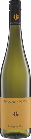 2025 Pfannebecker Sauvignon Blanc