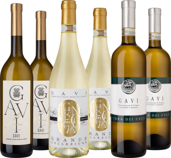 Entdeckerpaket Gavi-Vielfalt