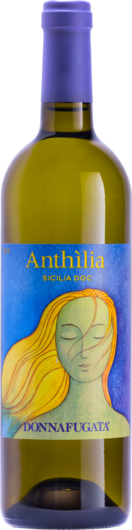 2025 Anthilia