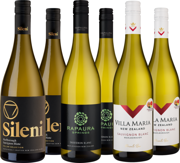 Entdeckerpaket Sauvignon Blanc aus Neuseeland