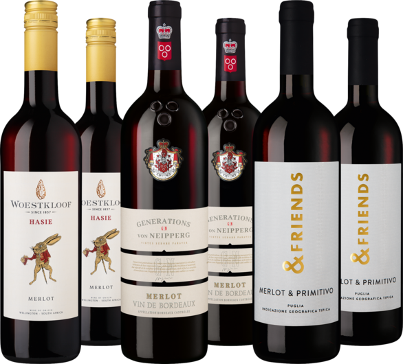Entdeckerpaket Merlot-Vielfalt