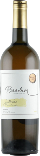 2022 Baaduri Qvishkhuri