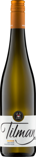 2024 Tilman Bacchus