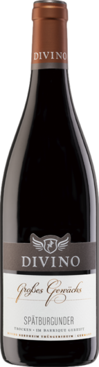 2022 Divino Spätburgunder GG