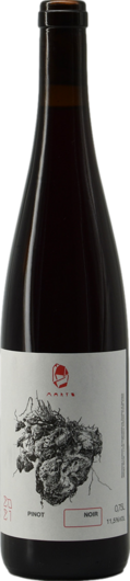 2022 Marto Wines Pinot Noir
