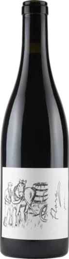 Brand Nv Flora Bio