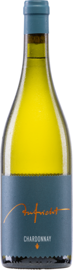 2024 Aufricht Chardonnay Von Alten Reben