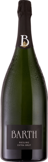 Riesling Sekt Extra Brut Bio