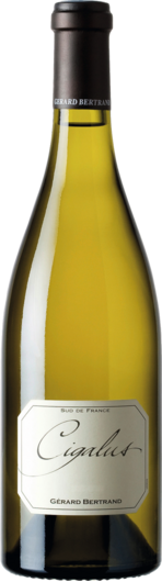 2024 Cigalus Blanc