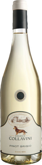 2025 Collavini Pinot Grigio