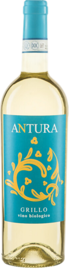 2024 Maggio Vini Grillo Antura Bio