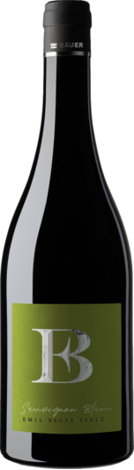 2024 Bauer Nussdorf Sauvignon Blanc