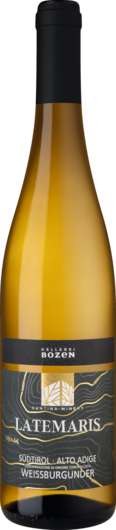 2025 Weißburgunder Latemaris