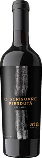 2019 ATU O Scrisoare Pierdută Codrinschi