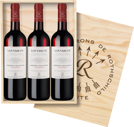 Der Chilenische Rothschild