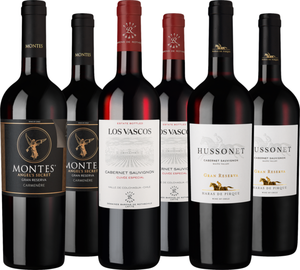 Entdeckerpaket Rotwein-Auswahl aus Chile