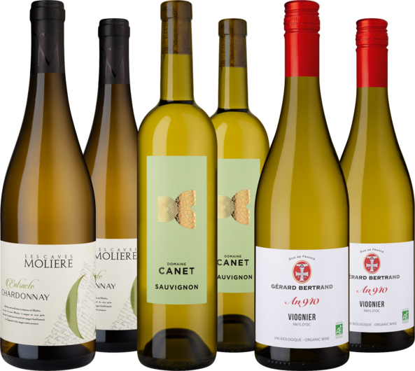Entdeckerpaket Weißweine Pays d'OC IGP
