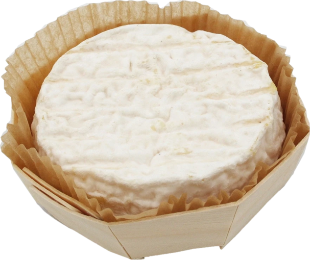 Saint-Félicien