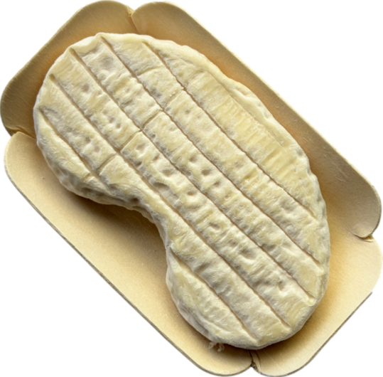 Mojette