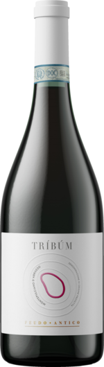 2023 Feudo Antico Tríbúm Montepulciano Biologico