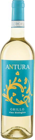 2025 Maggio Vini Grillo Antura Bio
