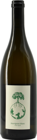2024 Werlitsch Sauvignon Blanc Vom Opok Bio
