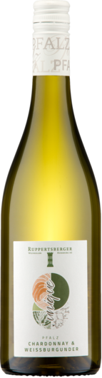2025 Ruppertsberger Chardonnay Weißburgunder Bio