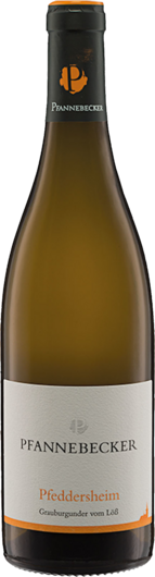 2024 Pfannebecker  Pfeddersheim Grauburgunder Bio
