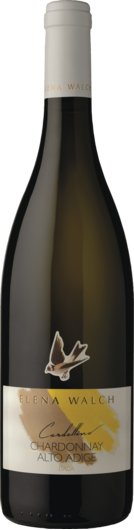 2025 Cardellino Chardonnay