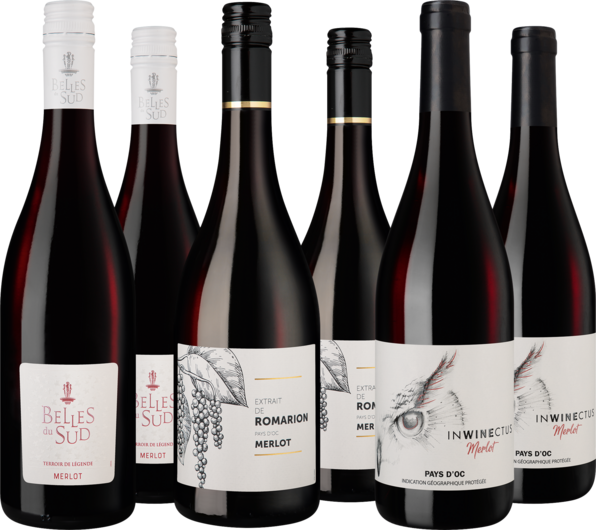 Entdeckerpaket Merlot aus dem Pays d'Oc IGP