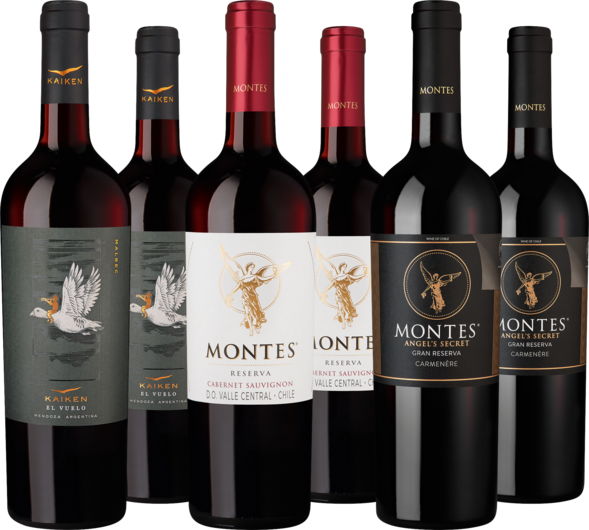 Probierpaket Rotwein-Highlights aus Chile